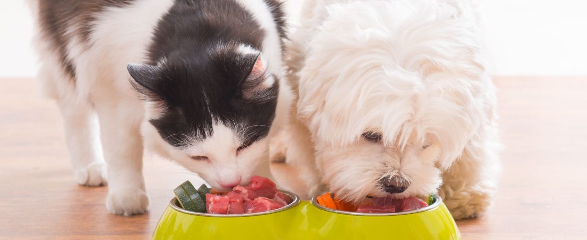 Alimentazione e salute
