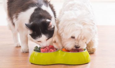 Alimentazione e salute